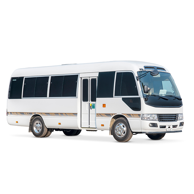 12 Seats Customized Luxury Coaster Reception Minibus